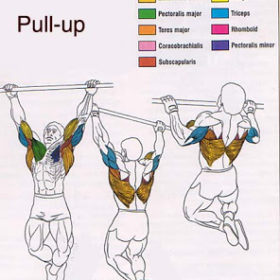 pull-up